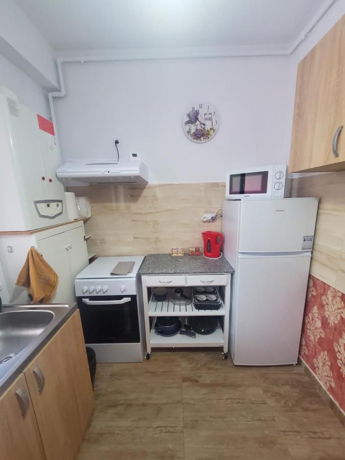 Morii Lake Special Apartment Bucureşti Ngoại thất bức ảnh